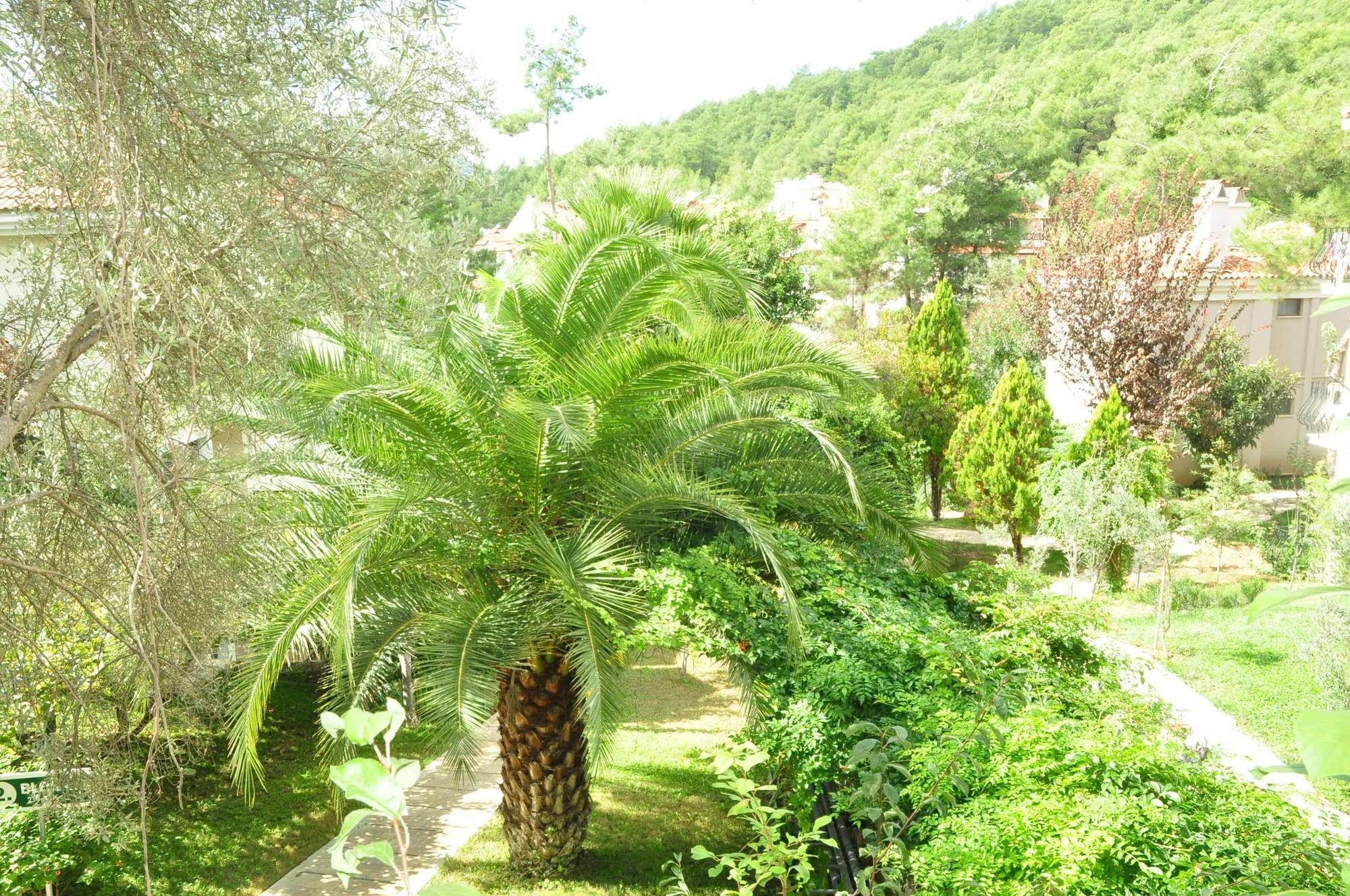 Telmessos Select Hotel - Adult Only Ölüdeniz Buitenkant foto